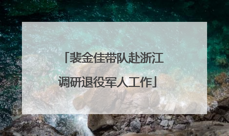 裴金佳带队赴浙江调研退役军人工作