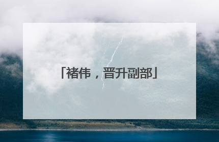 褚伟，晋升副部