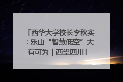 西华大学校长李秋实：乐山“智慧低空”大有可为｜西望四川