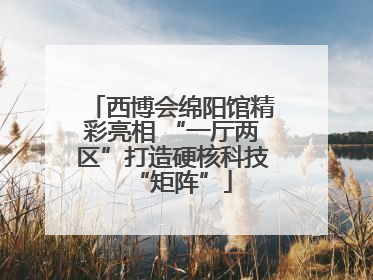 西博会绵阳馆精彩亮相 “一厅两区”打造硬核科技“矩阵”