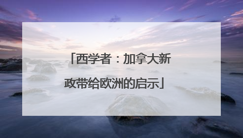 西学者：加拿大新政带给欧洲的启示