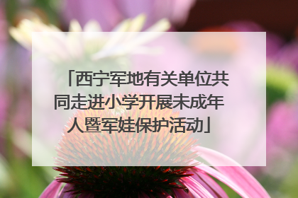 西宁军地有关单位共同走进小学开展未成年人暨军娃保护活动