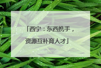 西宁：东西携手，资源互补育人才