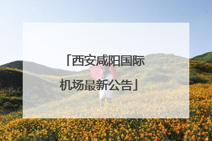 西安咸阳国际机场最新公告
