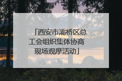 西安市灞桥区总工会组织集体协商现场观摩活动