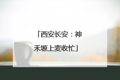 西安长安：神禾塬上麦收忙