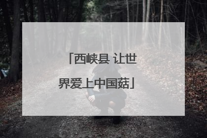 西峡县 让世界爱上中国菇