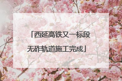 西延高铁又一标段无砟轨道施工完成