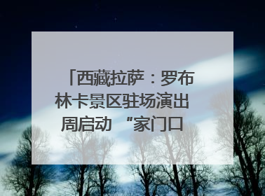 西藏拉萨：罗布林卡景区驻场演出周启动 “家门口”享文化盛宴