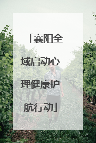 襄阳全域启动心理健康护航行动