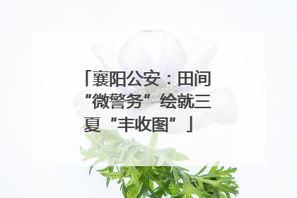 襄阳公安：田间“微警务”绘就三夏“丰收图”