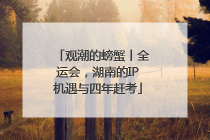 观潮的螃蟹丨全运会，湖南的IP机遇与四年赶考