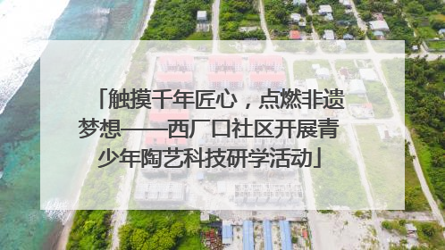 触摸千年匠心，点燃非遗梦想——西厂口社区开展青少年陶艺科技研学活动