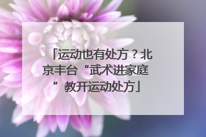 运动也有处方？北京丰台“武术进家庭”教开运动处方