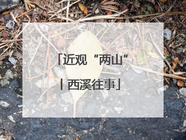 近观“两山”丨西溪往事