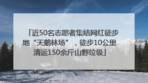 近50名志愿者集结网红徒步地“天鹅林场”，徒步10公里清运150余斤山野垃圾