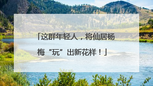 这群年轻人，将仙居杨梅“玩”出新花样！