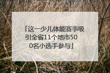 这一少儿体能赛事吸引全省11个地市500名小选手参与