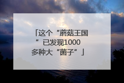 这个“蘑菇王国”已发现1000多种大“菌子”