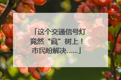 这个交通信号灯竟然“藏”树上！市民盼解决……