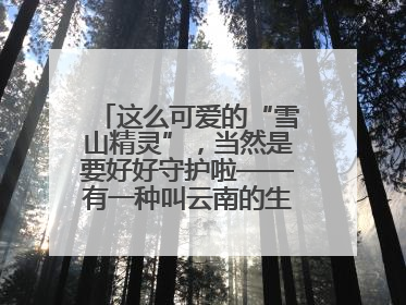 这么可爱的“雪山精灵”，当然是要好好守护啦——有一种叫云南的生活之365天