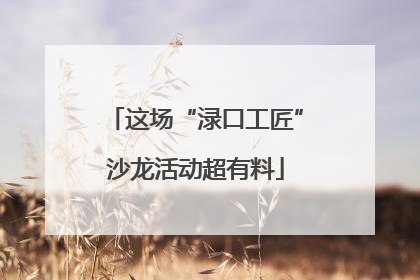这场“渌口工匠”沙龙活动超有料