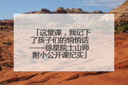 这堂课，我记下了孩子们的悄悄话——徐星院士山师附小公开课纪实