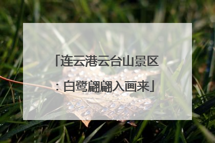 连云港云台山景区：白鹭翩翩入画来
