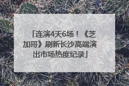 连演4天6场！《芝加哥》刷新长沙高端演出市场热度纪录