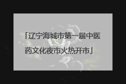 辽宁海城市第一届中医药文化夜市火热开市
