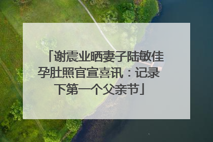 谢震业晒妻子陆敏佳孕肚照官宣喜讯：记录下第一个父亲节