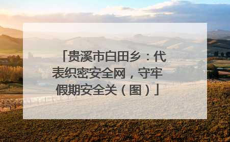 贵溪市白田乡：代表织密安全网，守牢假期安全关（图）