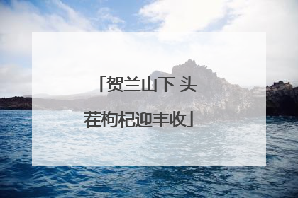 贺兰山下 头茬枸杞迎丰收