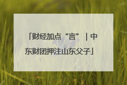 财经加点“言”｜中东财团押注山东父子