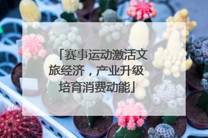 赛事运动激活文旅经济，产业升级培育消费动能