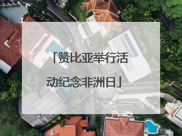 赞比亚举行活动纪念非洲日