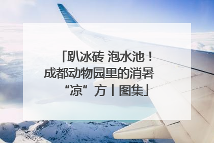 趴冰砖 泡水池！成都动物园里的消暑“凉”方丨图集
