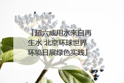 超六成用水来自再生水 北京环球世界环境日展绿色实践