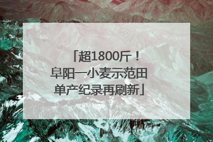 超1800斤！阜阳一小麦示范田单产纪录再刷新