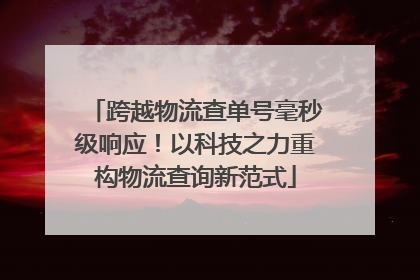 跨越物流查单号毫秒级响应！以科技之力重构物流查询新范式