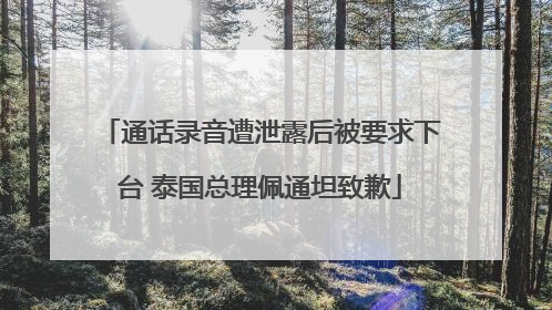 通话录音遭泄露后被要求下台 泰国总理佩通坦致歉