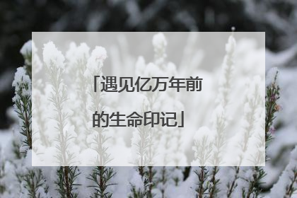遇见亿万年前的生命印记