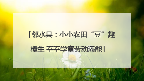 邻水县：小小农田“豆”趣横生 莘莘学童劳动添能