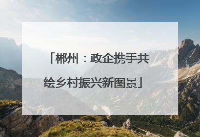 郴州：政企携手共绘乡村振兴新图景