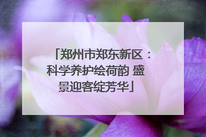郑州市郑东新区：科学养护绘荷韵 盛景迎客绽芳华