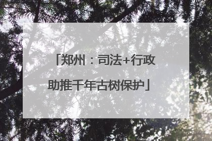 郑州：司法+行政助推千年古树保护