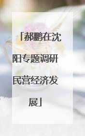郝鹏在沈阳专题调研民营经济发展