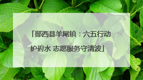 郧西县羊尾镇：六五行动护碧水 志愿服务守清波