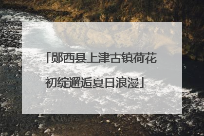 郧西县上津古镇荷花初绽邂逅夏日浪漫