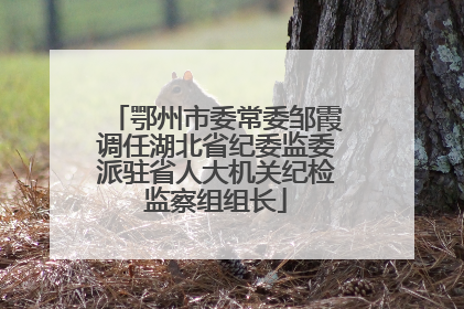 鄂州市委常委邹霞调任湖北省纪委监委派驻省人大机关纪检监察组组长